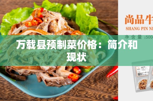万载县预制菜价格：简介和现状