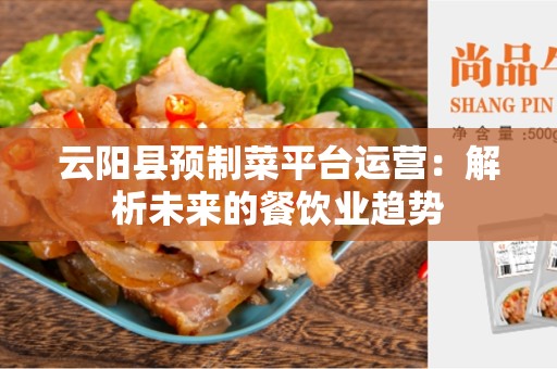 云阳县预制菜平台运营：解析未来的餐饮业趋势