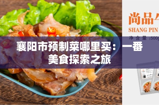襄阳市预制菜哪里买：一番美食探索之旅