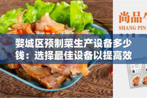 婺城区预制菜生产设备多少钱：选择最佳设备以提高效率