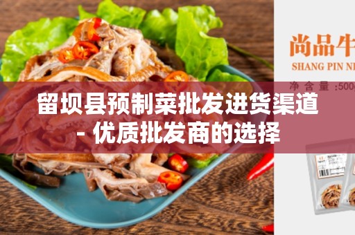 留坝县预制菜批发进货渠道- 优质批发商的选择