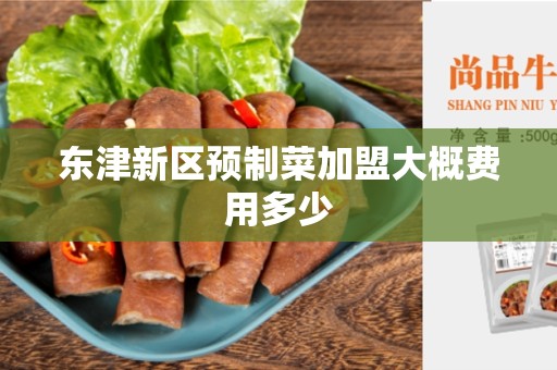 东津新区预制菜加盟大概费用多少