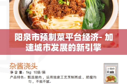 阳泉市预制菜平台经济- 加速城市发展的新引擎