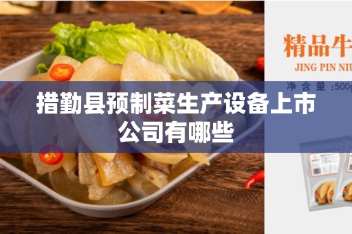 措勤县预制菜生产设备上市公司有哪些