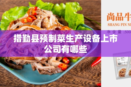 措勤县预制菜生产设备上市公司有哪些