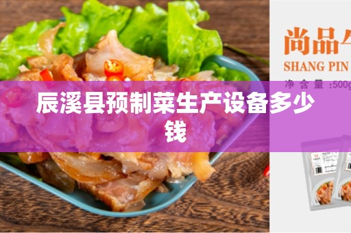 辰溪县预制菜生产设备多少钱