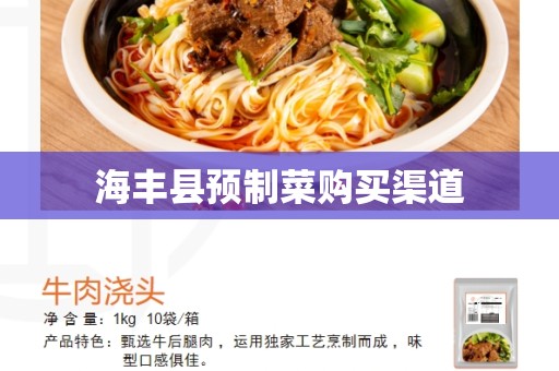 海丰县预制菜购买渠道