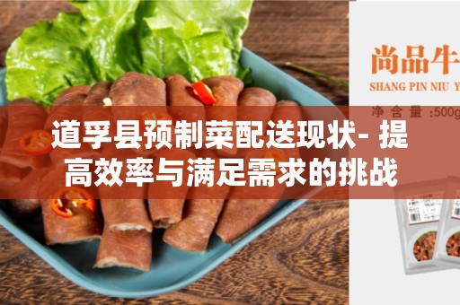道孚县预制菜配送现状- 提高效率与满足需求的挑战