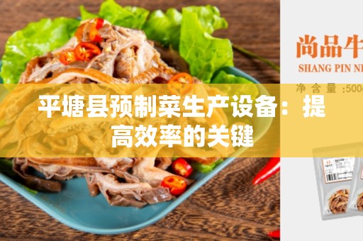 平塘县预制菜生产设备：提高效率的关键