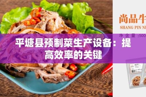 平塘县预制菜生产设备：提高效率的关键