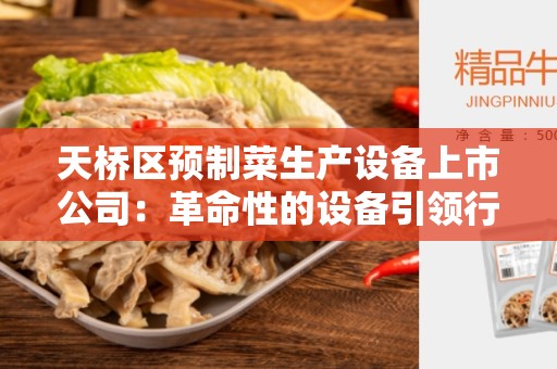 天桥区预制菜生产设备上市公司：革命性的设备引领行业创新
