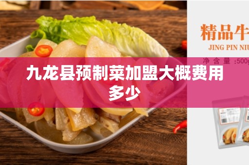 九龙县预制菜加盟大概费用多少