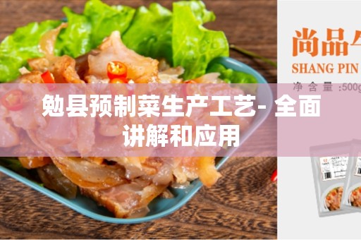 勉县预制菜生产工艺- 全面讲解和应用