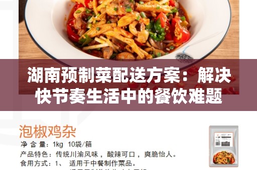 湖南预制菜配送方案：解决快节奏生活中的餐饮难题