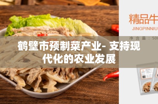 鹤壁市预制菜产业- 支持现代化的农业发展