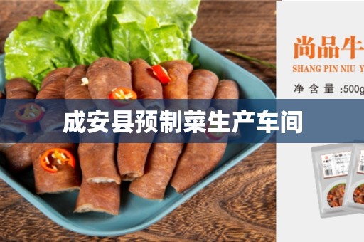 成安县预制菜生产车间