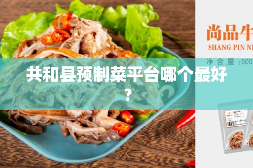 共和县预制菜平台哪个最好？