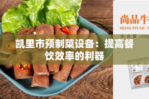 凯里市预制菜设备：提高餐饮效率的利器