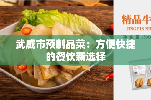 武威市预制品菜：方便快捷的餐饮新选择