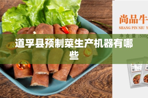 道孚县预制菜生产机器有哪些