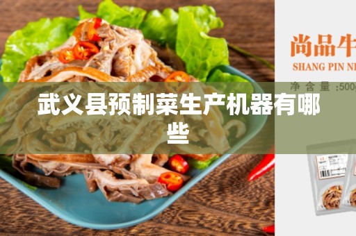 武义县预制菜生产机器有哪些