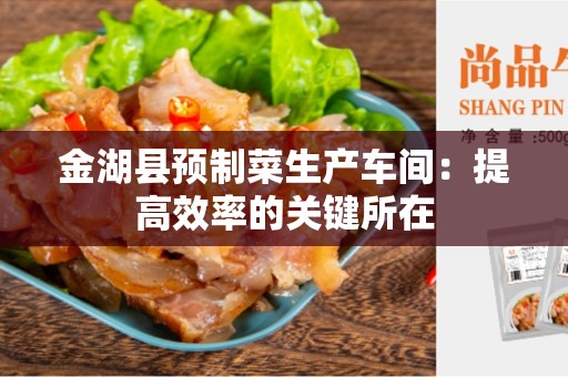 金湖县预制菜生产车间：提高效率的关键所在