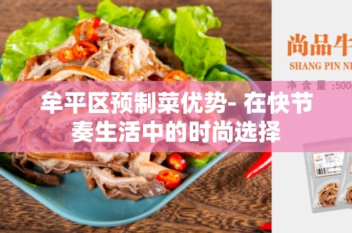 牟平区预制菜优势- 在快节奏生活中的时尚选择