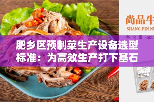 肥乡区预制菜生产设备选型标准：为高效生产打下基石