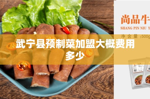 武宁县预制菜加盟大概费用多少