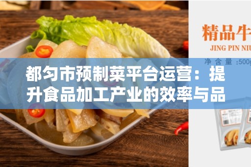 都匀市预制菜平台运营：提升食品加工产业的效率与品质