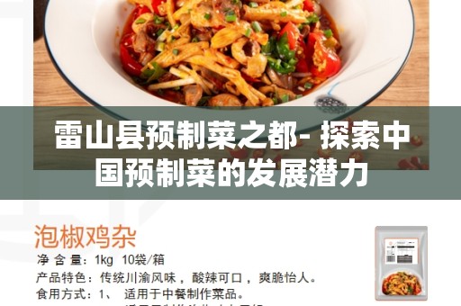 雷山县预制菜之都- 探索中国预制菜的发展潜力