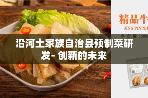 沿河土家族自治县预制菜研发- 创新的未来