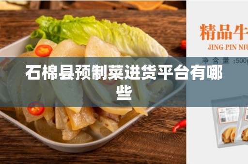 石棉县预制菜进货平台有哪些
