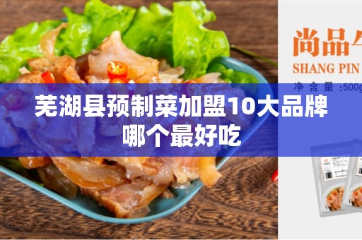 芜湖县预制菜加盟10大品牌哪个最好吃