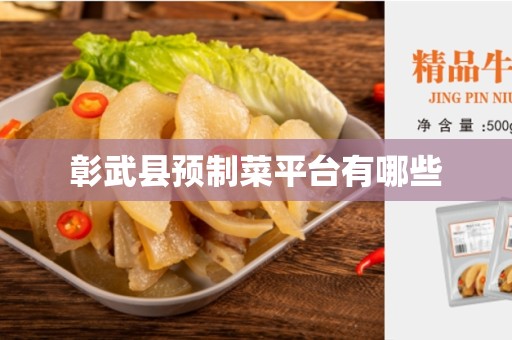 彰武县预制菜平台有哪些