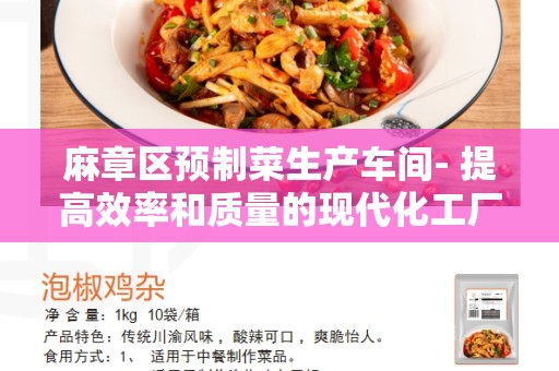 麻章区预制菜生产车间- 提高效率和质量的现代化工厂