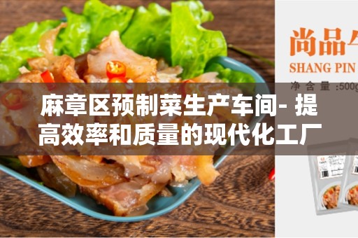 麻章区预制菜生产车间- 提高效率和质量的现代化工厂