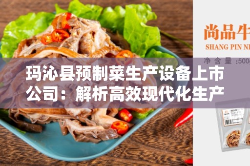 玛沁县预制菜生产设备上市公司：解析高效现代化生产设备的关键