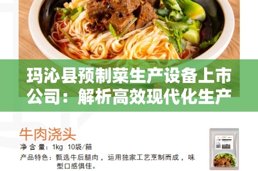 玛沁县预制菜生产设备上市公司：解析高效现代化生产设备的关键