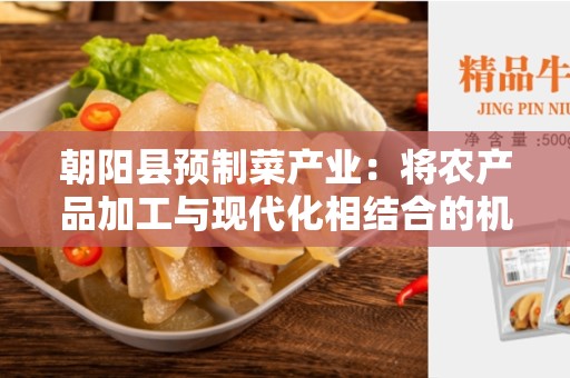 朝阳县预制菜产业：将农产品加工与现代化相结合的机遇与挑战