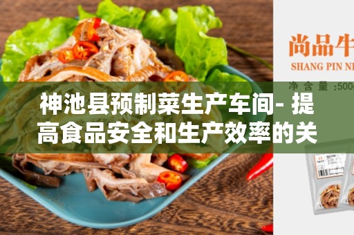 神池县预制菜生产车间- 提高食品安全和生产效率的关键领域