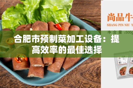 合肥市预制菜加工设备：提高效率的最佳选择