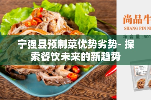 宁强县预制菜优势劣势- 探索餐饮未来的新趋势