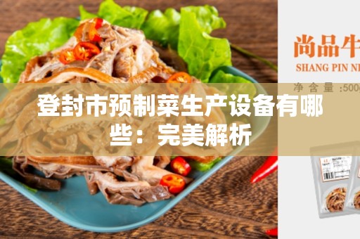 登封市预制菜生产设备有哪些：完美解析