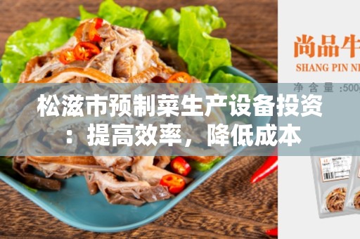 松滋市预制菜生产设备投资：提高效率，降低成本