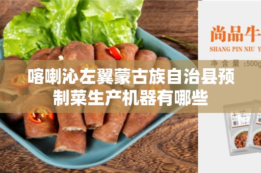 喀喇沁左翼蒙古族自治县预制菜生产机器有哪些