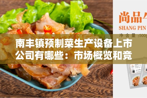 南丰镇预制菜生产设备上市公司有哪些：市场概览和竞争分析