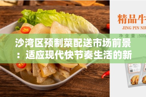 沙湾区预制菜配送市场前景：适应现代快节奏生活的新机遇