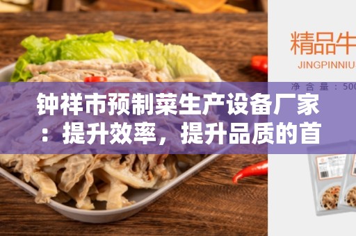 钟祥市预制菜生产设备厂家：提升效率，提升品质的首选