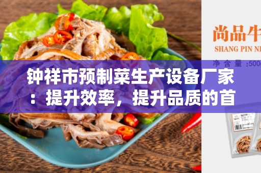 钟祥市预制菜生产设备厂家：提升效率，提升品质的首选